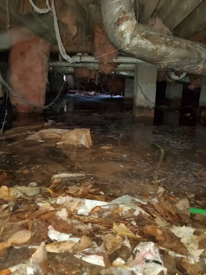 Crawl space flood assessment for Leak Detection & Repair in Kahaluu-Keauhou
